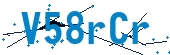 recaptcha