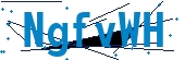 recaptcha