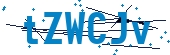 recaptcha