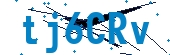 recaptcha