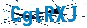 recaptcha