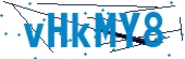 recaptcha
