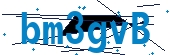 recaptcha